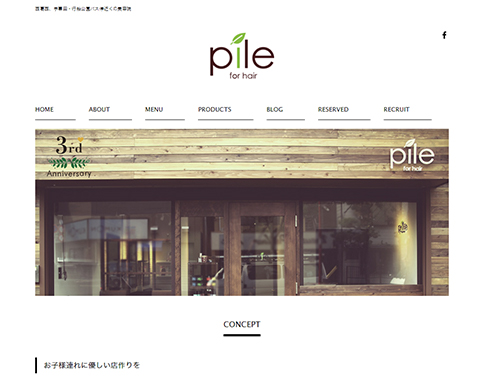 pileWEBサイトキャプチャー