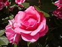 RC003.jpg@]mlE[V