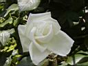 RC010.jpg Jh[A