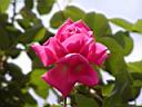 RC022.jpg GfB^E}bNt@[h