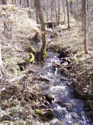 image14.jpg