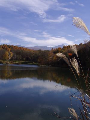 image17.jpg