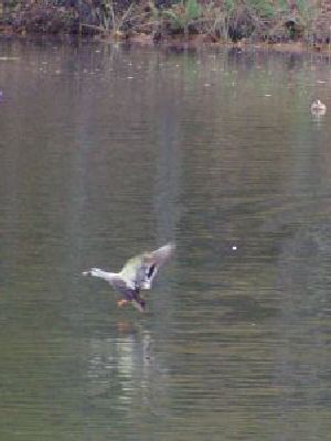 image21.jpg