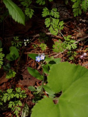 image19.jpg