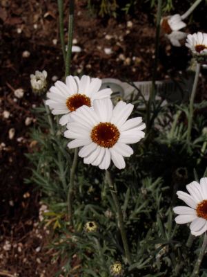 image7.jpg